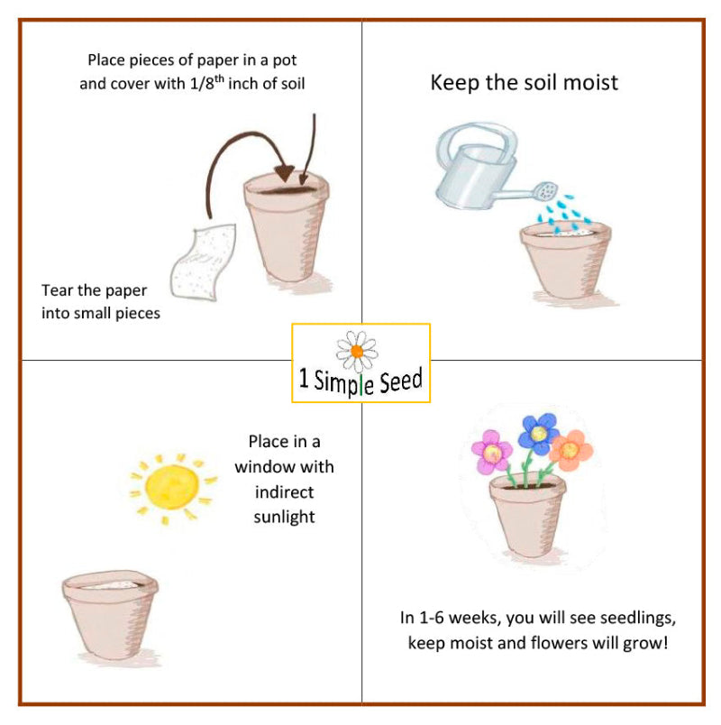 Step-by-step guide for planting seeds with illustrations and text.
