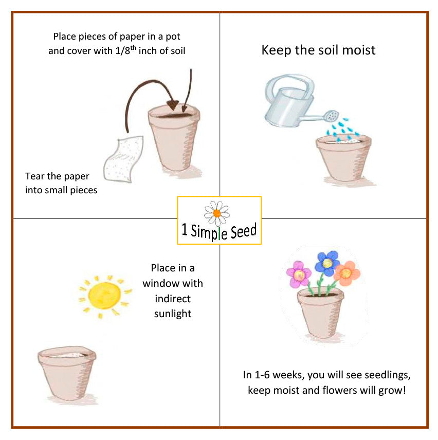 Mother's Day | Plantable Card| Pink Lavender