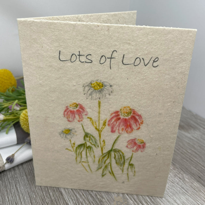 gerbera daisies. Lots of Love card.  Plantable Seed Paper Card. Wildflower Seed Paper.  Friendship card.  Love Card.