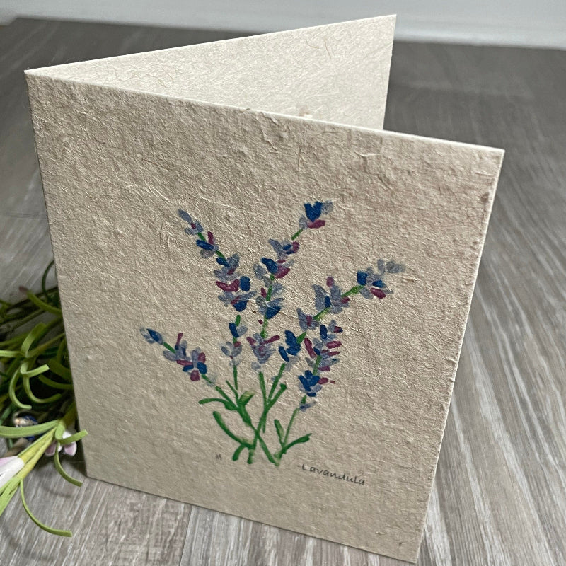 All Occasion Plantable Card | Lavandula