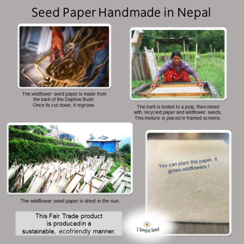 Process of making seed paper in Nepal with text and images.