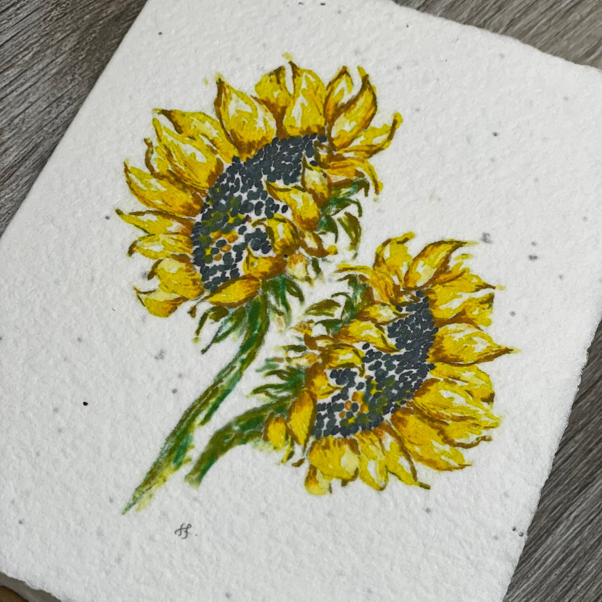 Sunflowers. Wildflower Seed Paper. Plantable Cards. All occasion cards. Anniversary or birthday card
