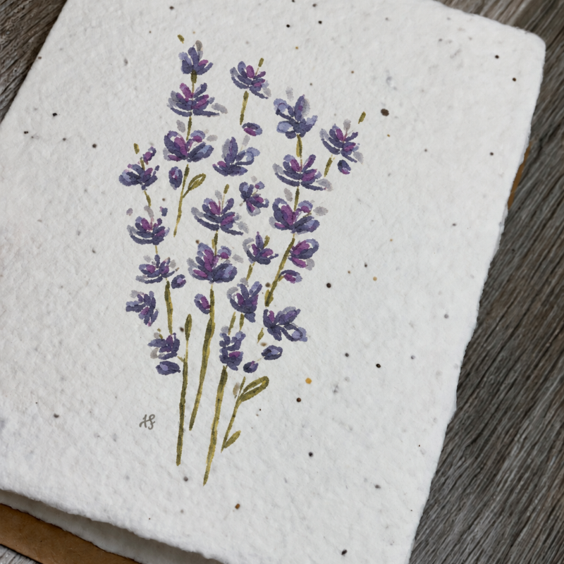 All Occasion Plantable Card | Lavender