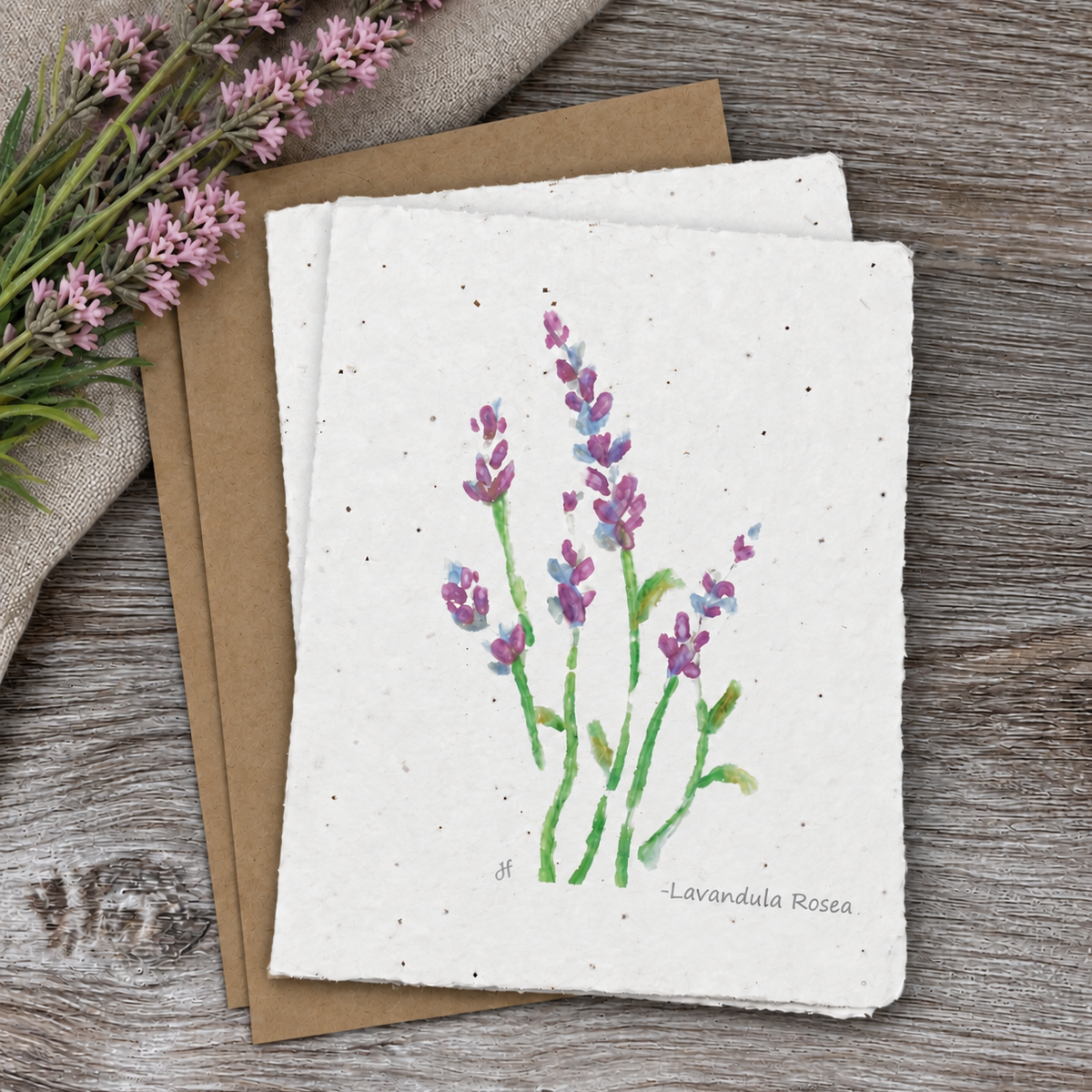 All Occasion Plantable Card |  Lavandula Rosea