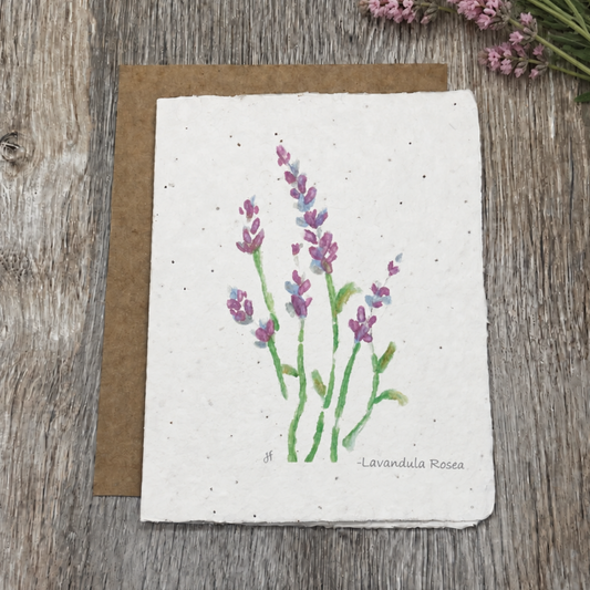 All Occasion Plantable Card |  Lavandula Rosea