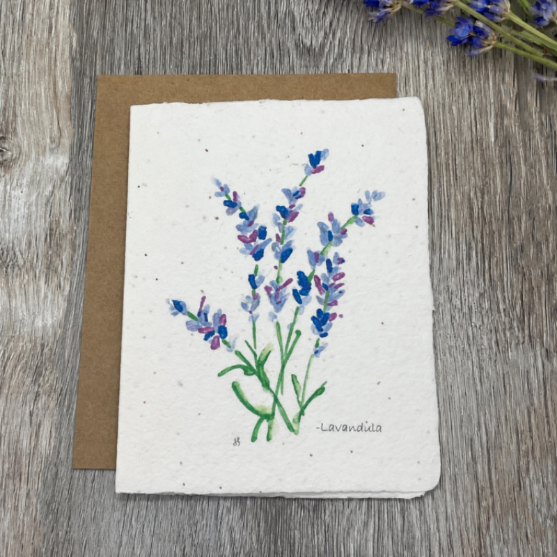 Lavender. Plantable cards. wildflowers.