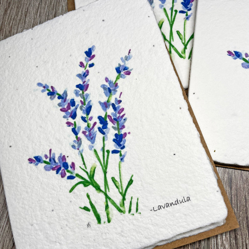 All Occasion Plantable Card | Lavandula