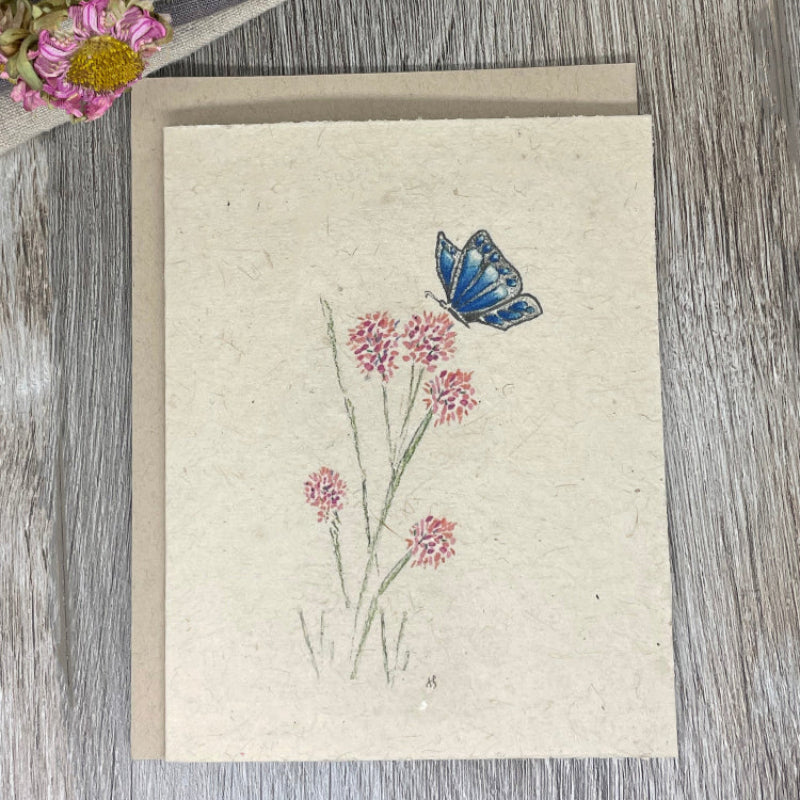 blue butterfly all occasion card
