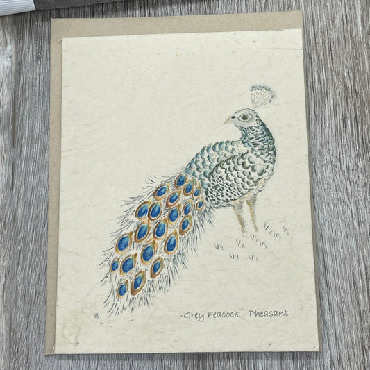 peacock pheasant. plantable cards. birds. 1 simple seed.