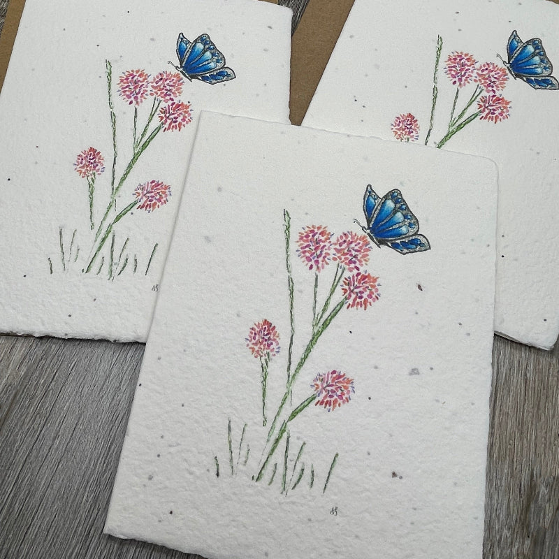 Blue Butterfly