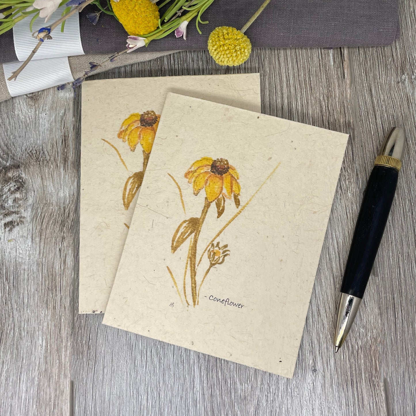 Coneflower | Plantable Card | Hand Drawn | Wildflower Seed Paper