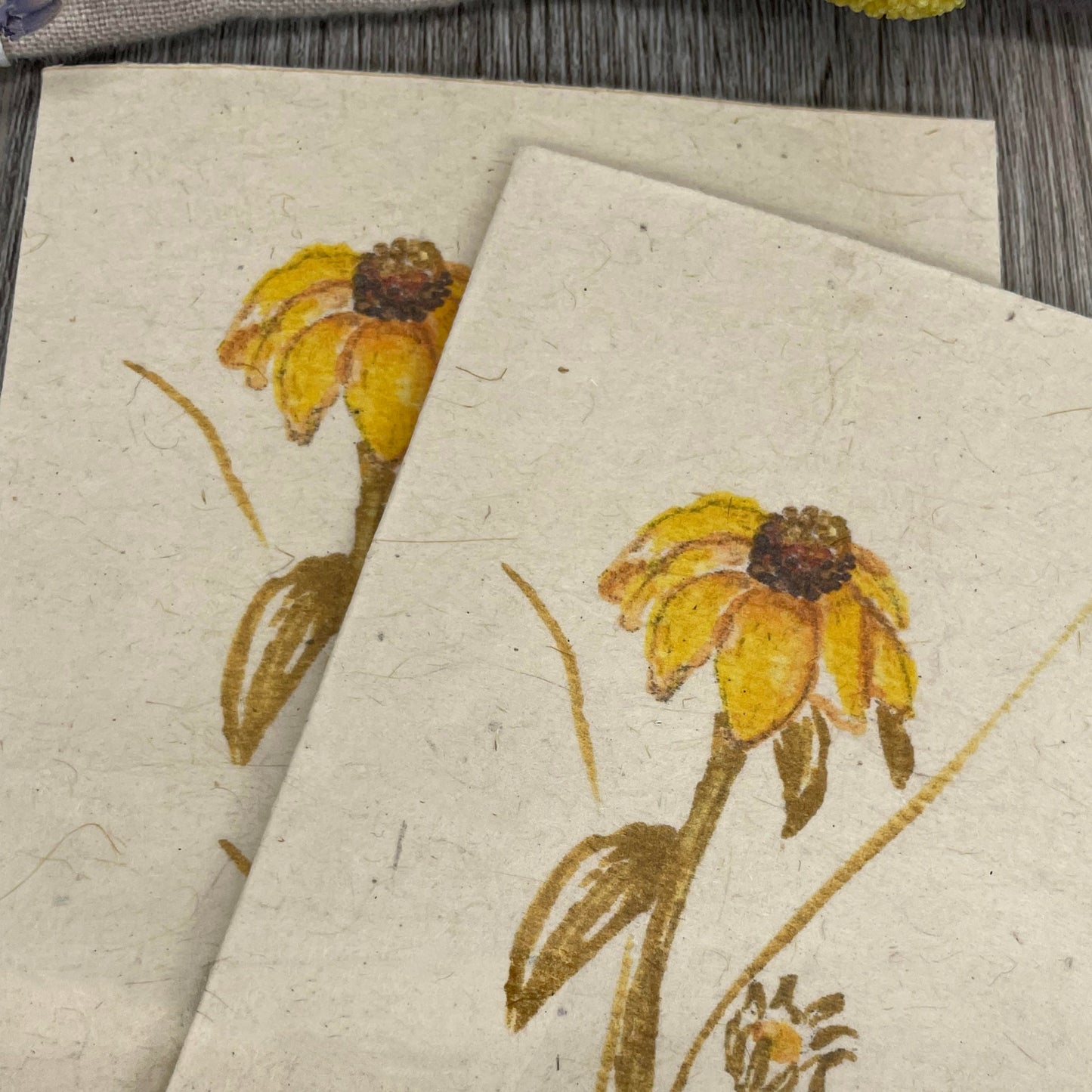 Coneflower | Plantable Card | Hand Drawn | Wildflower Seed Paper
