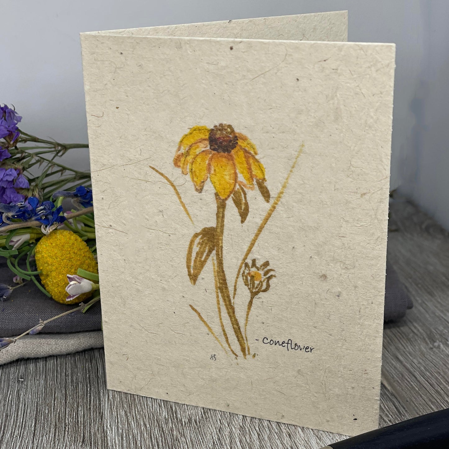 Coneflower | Plantable Card | Hand Drawn | Wildflower Seed Paper