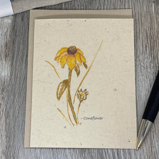 Coneflower | Plantable Card | Hand Drawn | Wildflower Seed Paper