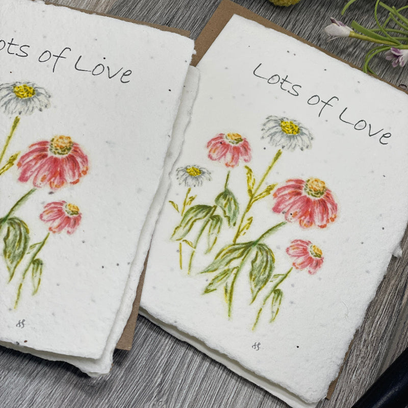 Friendship | Plantable Card| Gerbera Daisies Lots of Love