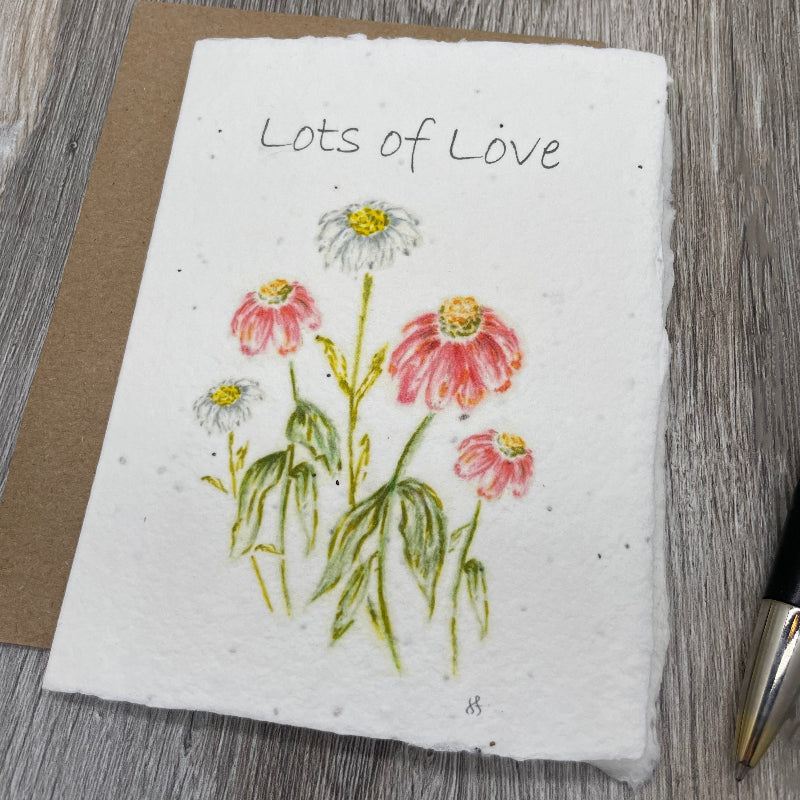 Friendship | Plantable Card| Gerbera Daisies Lots of Love