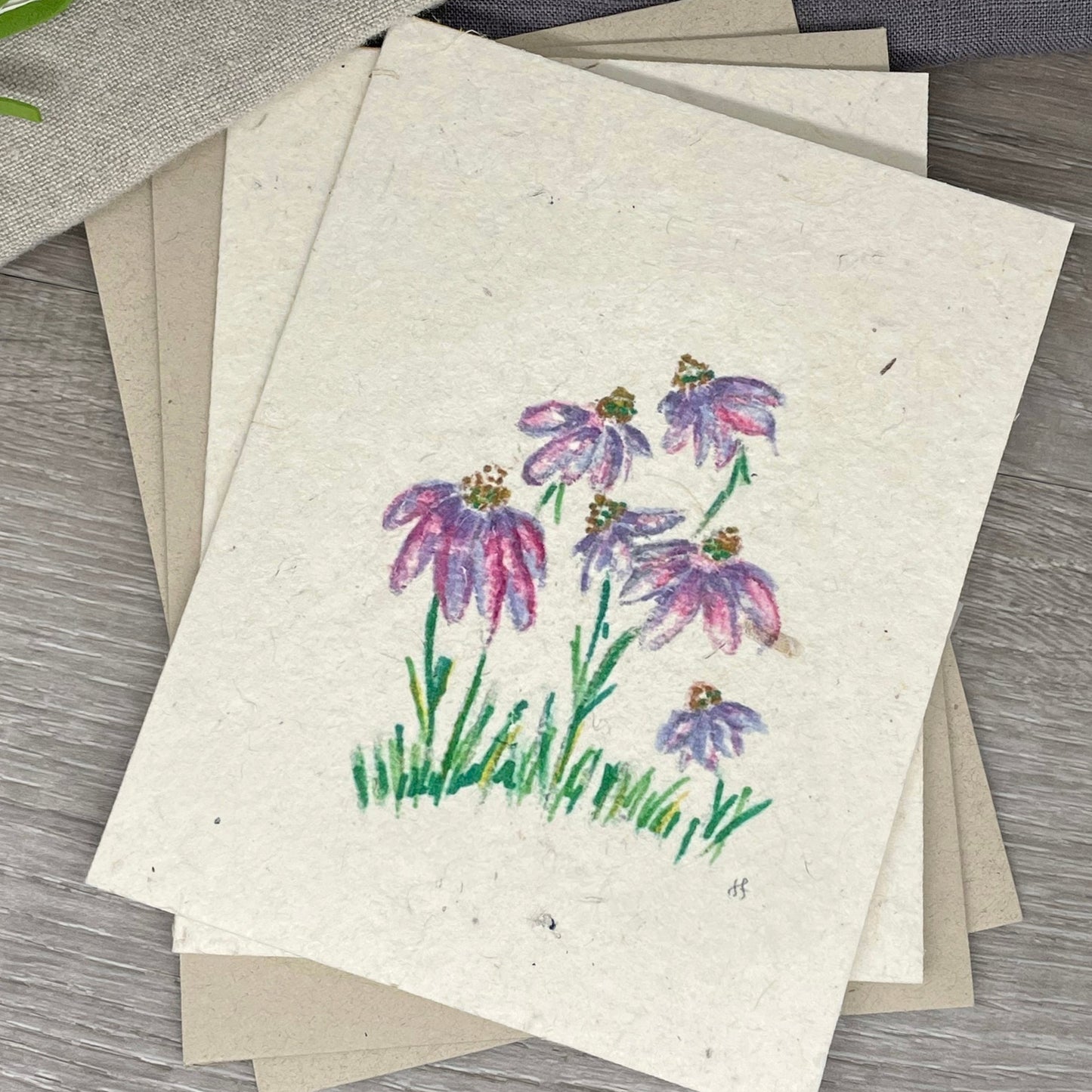 Echinacea Field | Plantable Card | Hand Drawn | Wildflower Seed Paper