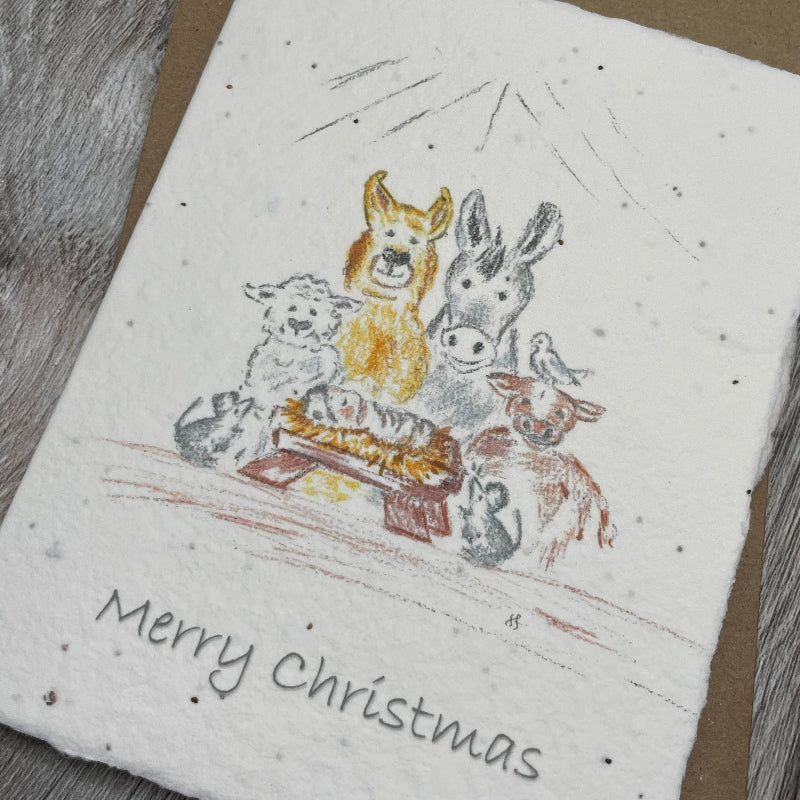 Holiday | Christmas | Plantable Card | Manger