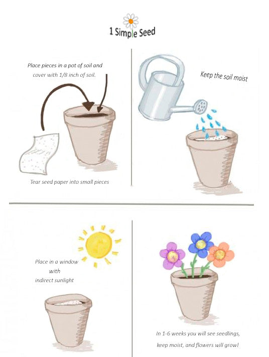 Fathers Day  | Plantable Card | Hand Drawn | Wildflower Seed Paper | Tent