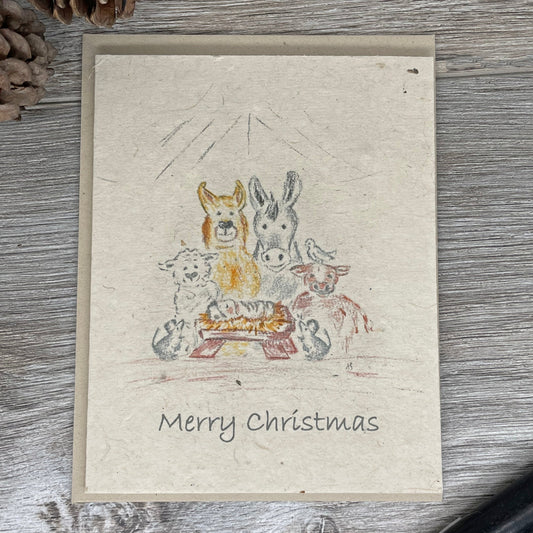Merry Christmas. Religious Christmas Card. Manger.  Bulk Christmas Cards. Plantable Card. 1 Simple Seed. Wildflower seed paper.