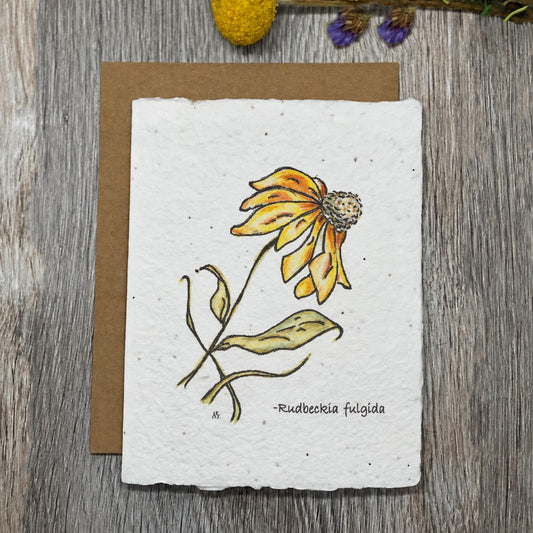 coneflower. rudbecka. wildflower seed paper. plantable card. any occasion. 1 simple seed.