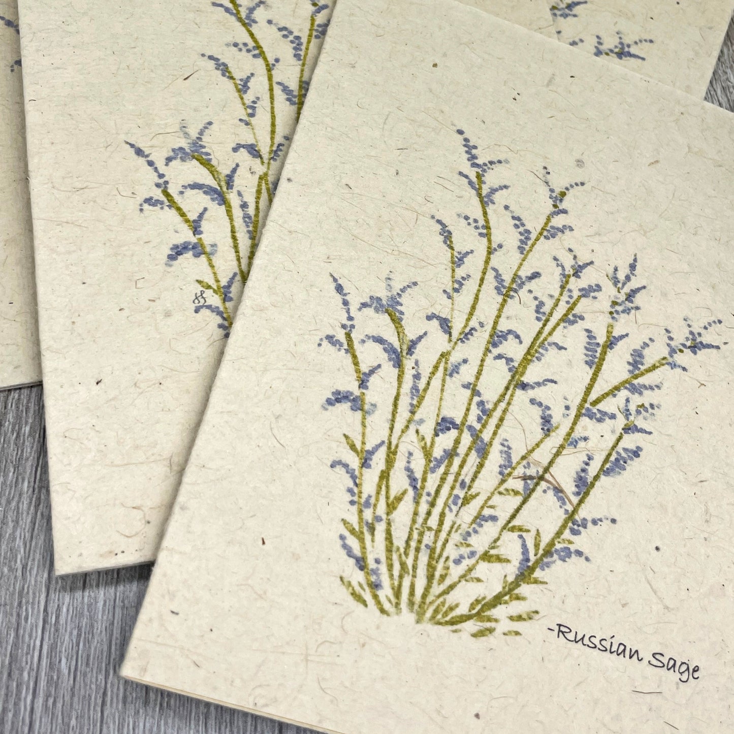 Russian Sage |  Plantable Cards | Hand Drawn | Wildflower Seed Paper