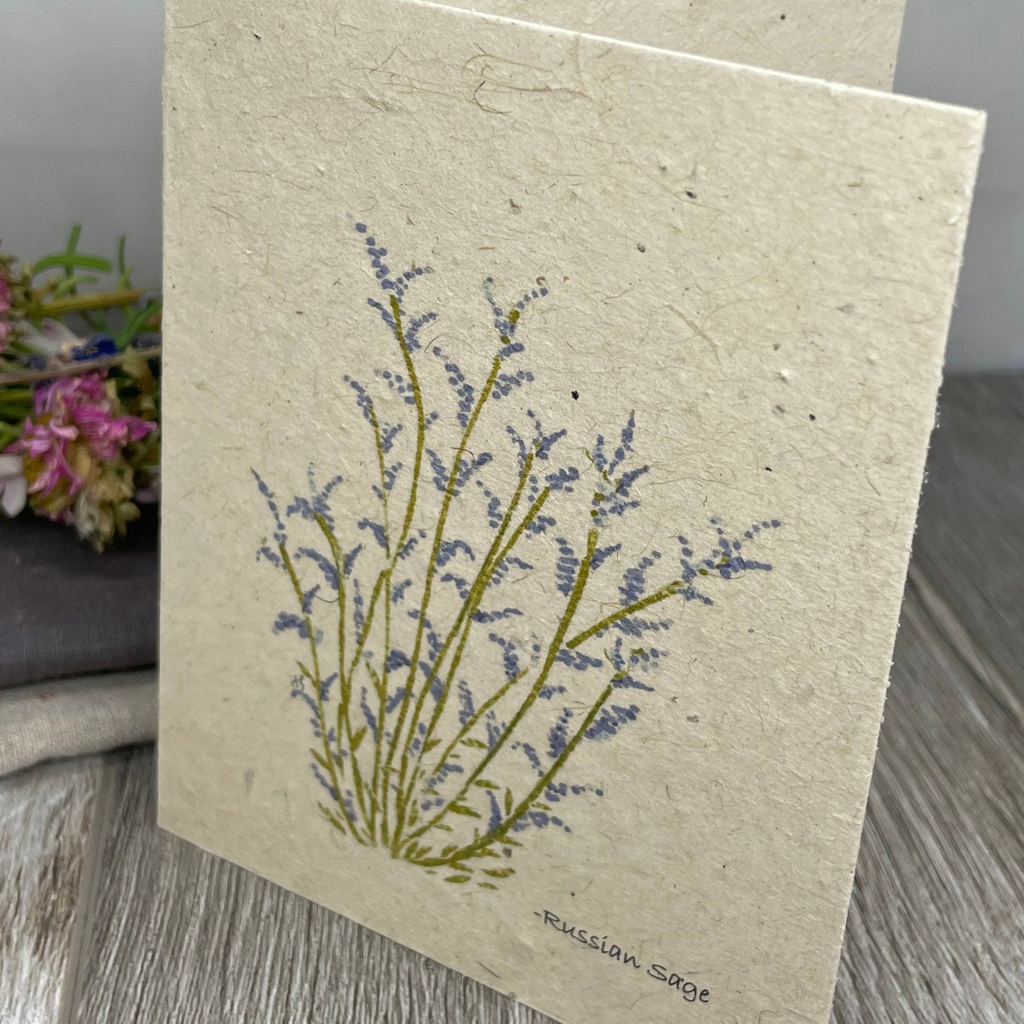 Russian Sage |  Plantable Cards | Hand Drawn | Wildflower Seed Paper
