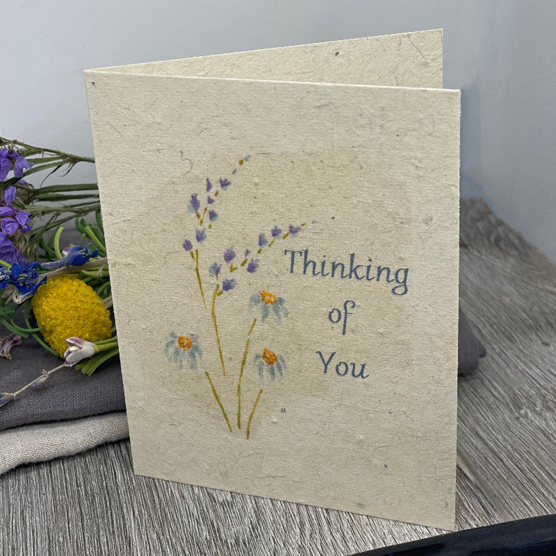 Thinking of You. Sympathy. plantable cards. Wildflower Seed Paper. Watercolor art work. Funeral. Memorial. Grief. Encouragement. Floral