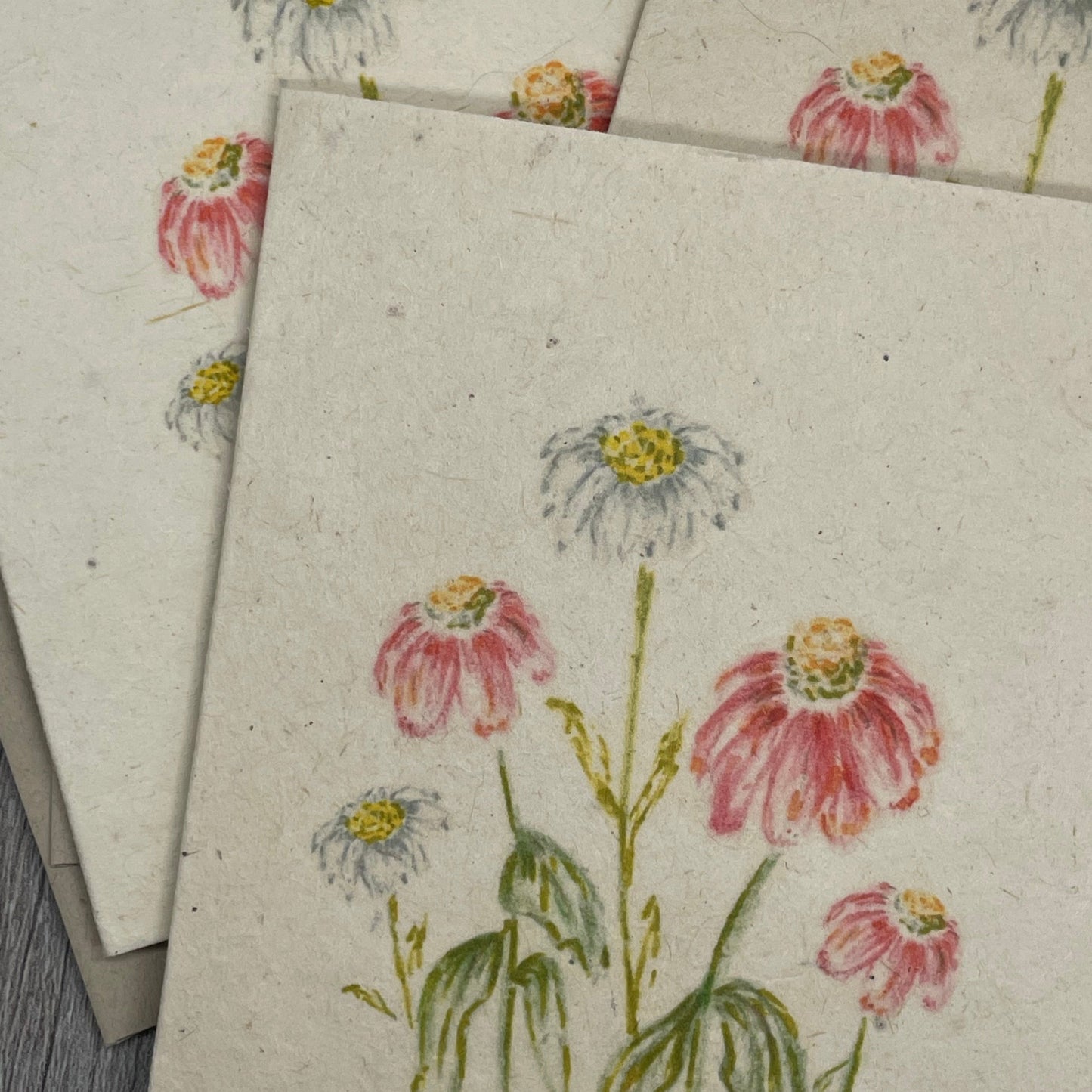 Gerbera Daisies |  Plantable Card | Hand Drawn | Wildflower Seed Paper