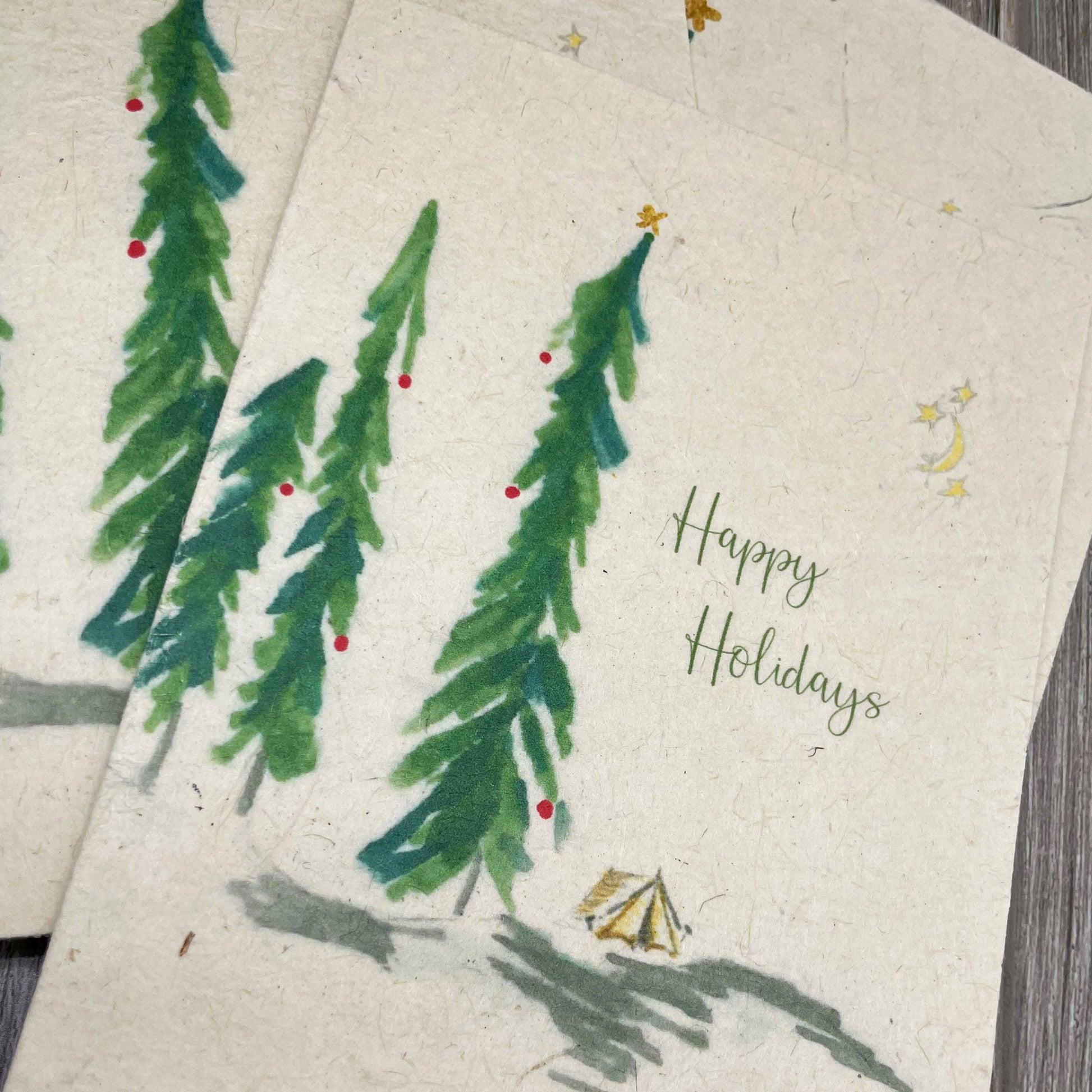 holiday cards. Christmas Cards. Outdoor adventure. camping. plantable card. Wildflower seed card. 