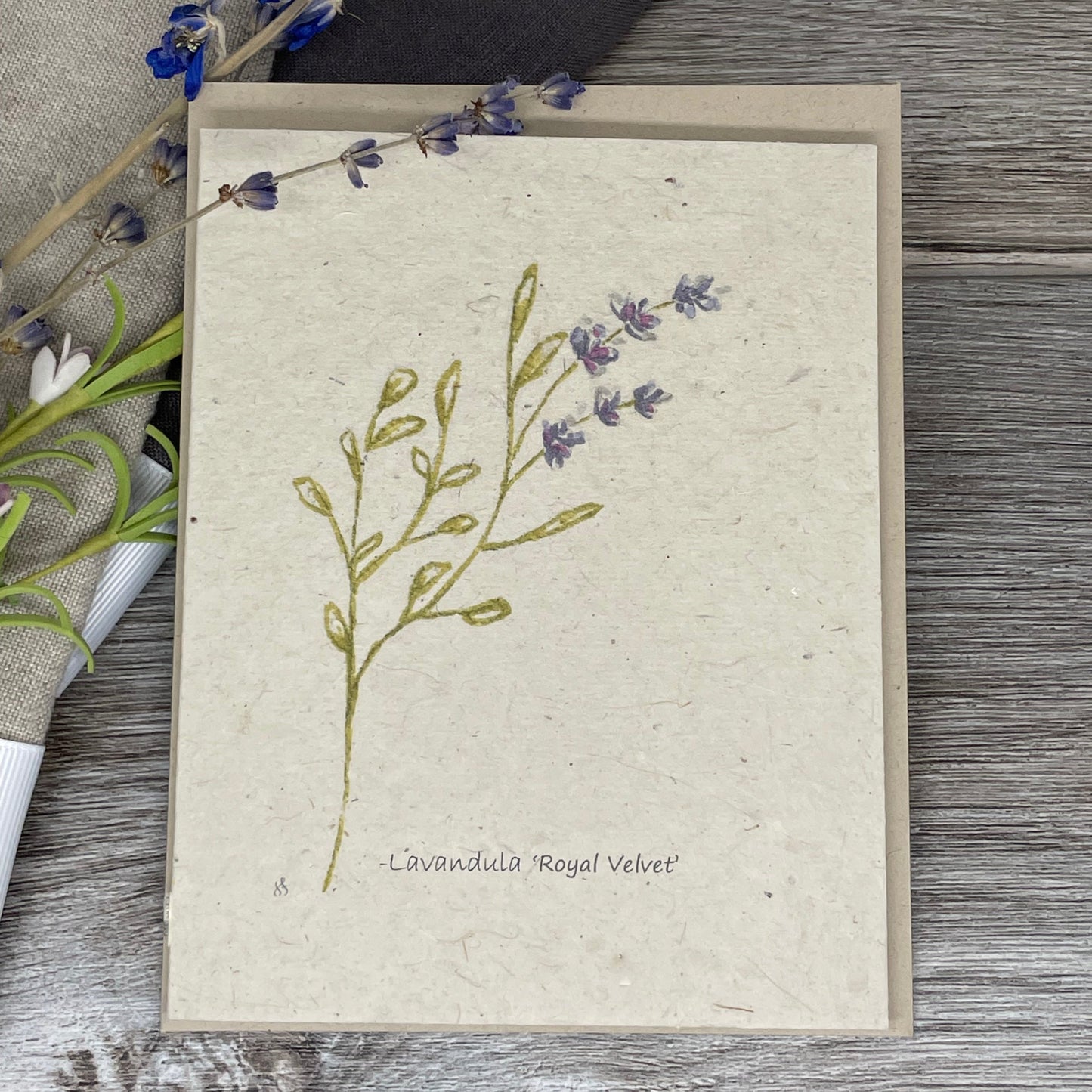 Lavender  | Plantable Card | Set of 6/12/18 | Hand Drawn