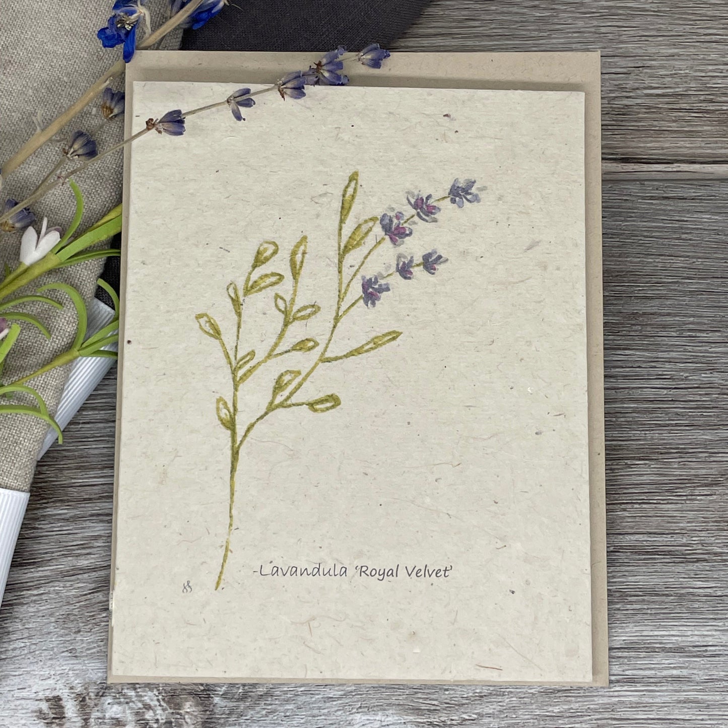 Lavender | Plantable Card | Hand Drawn  | Wildflower Seed Paper | Royal Velvet |