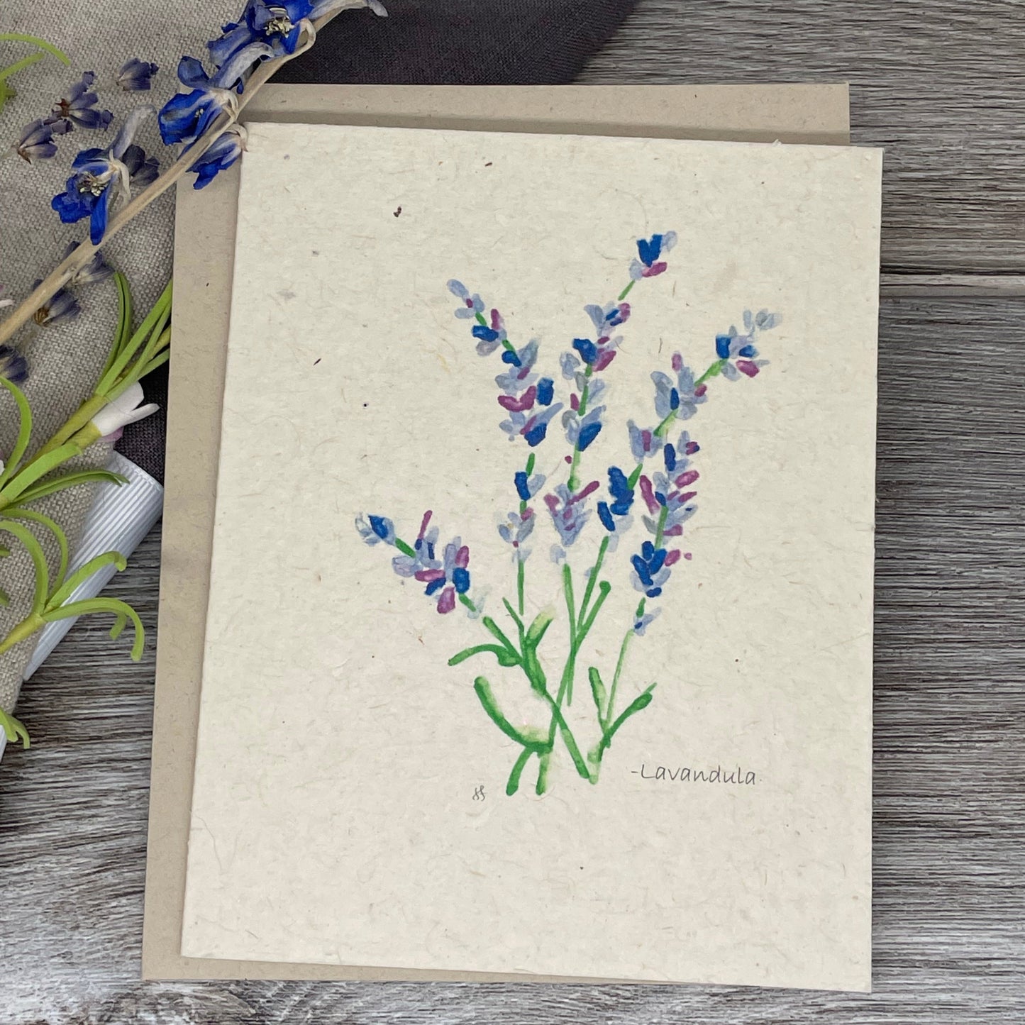 Lavender  | Plantable Card | Set of 6/12/18 | Hand Drawn