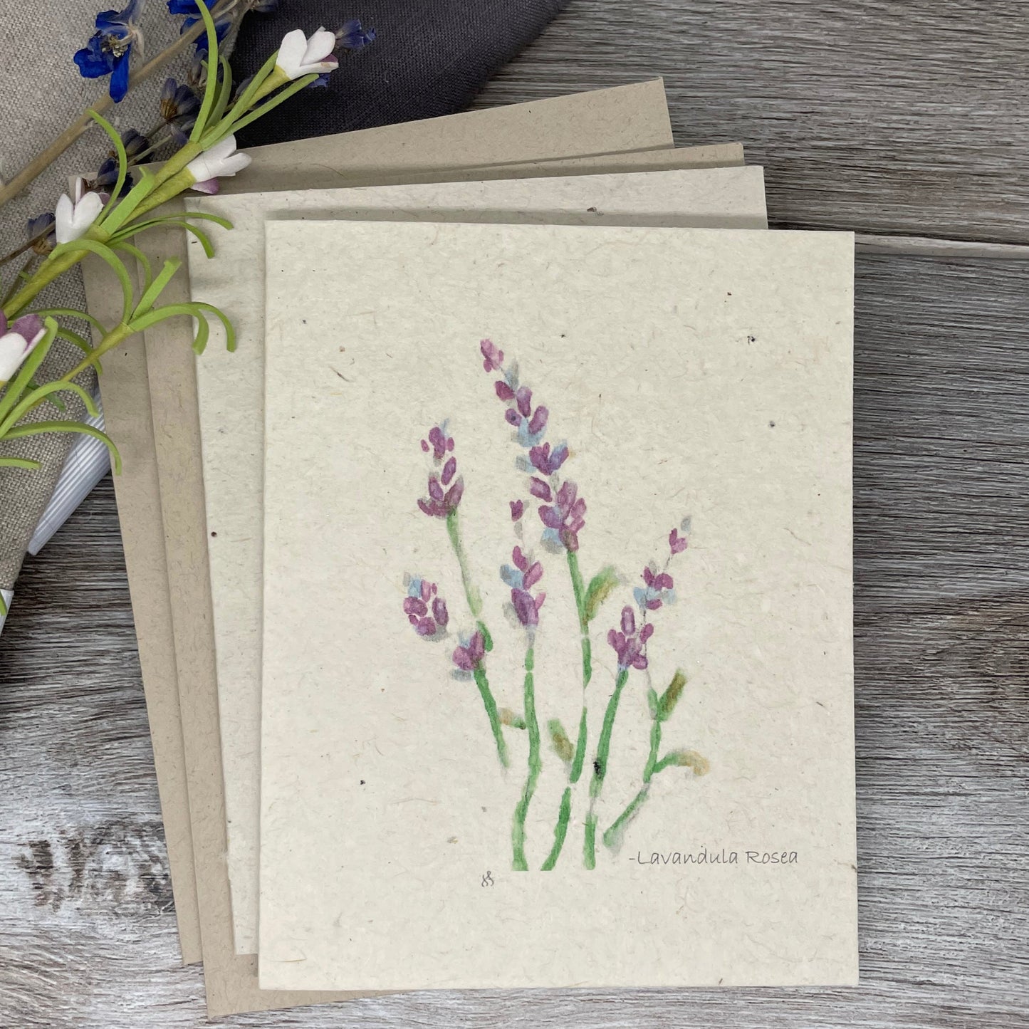Lavender  | Plantable Card | Set of 6/12/18 | Hand Drawn