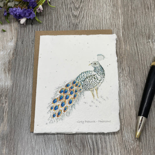All Occasion Plantable Card  | Birds | Peacock Pheasant