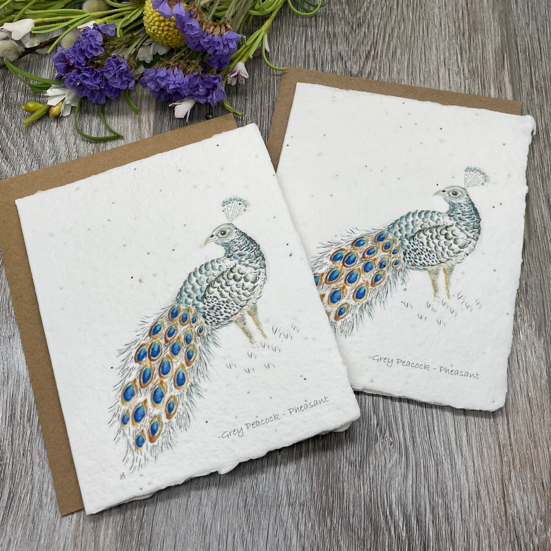 All Occasion Plantable Card  | Birds | Peacock Pheasant