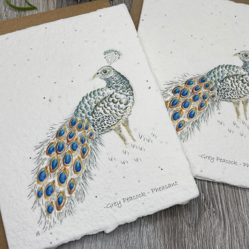 peacock. Wildflower Seed Paper. Plantable Card. 1 Simple Seed.