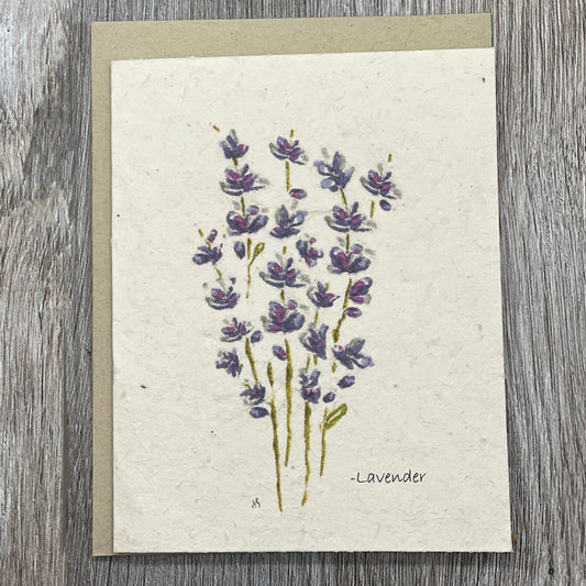Lavender . Plantable Card. Wildflower Seed Paper. All occasion Card. Bulk Cards. Anniversary. Birthday. LGBTQ. 
