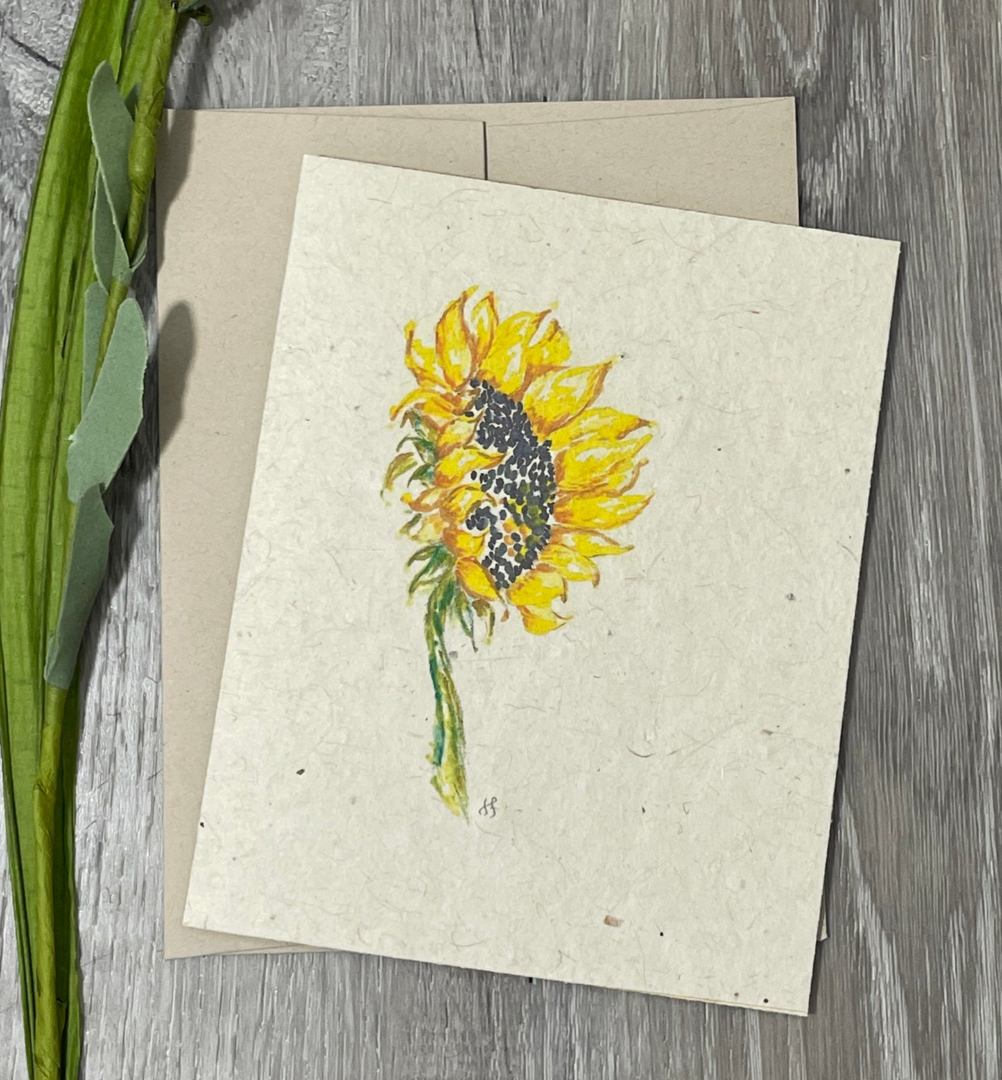 Sunflower Set | Plantable Card | Set of 6/12/18 | Wildflower Seed Paper