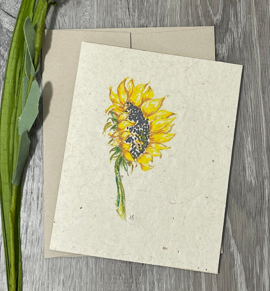 Sunflower | Hand Drawn | Plantable Seed Paper