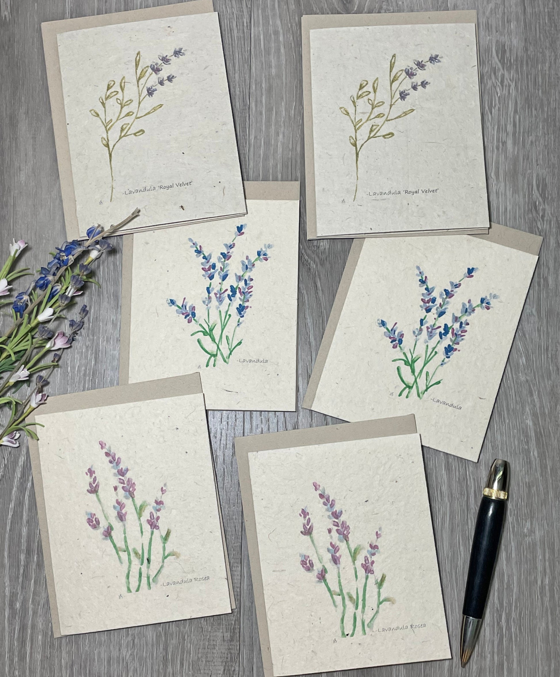 Lavender. Wildflower Seed Paper. Plantable Cards. 