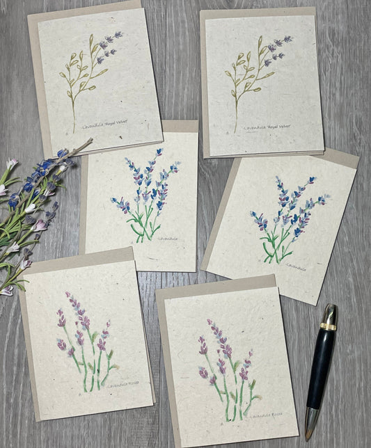 Lavender. Wildflower Seed Paper. Plantable Cards. 