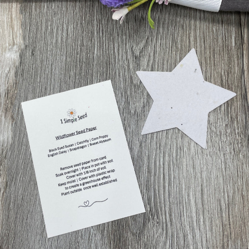 rabbit. bunny. wish upon a star. wishes. celebrations, hope. favors party. bulk