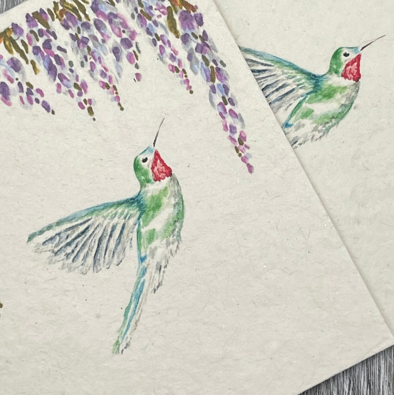 Wildflower Seed Paper. Hummingbird. wisteria flowers. Plantable Cards. Summer. Birds