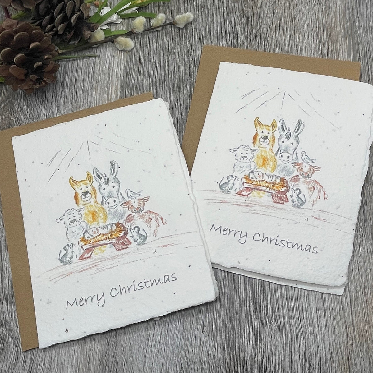 Holiday | Christmas | Plantable Card | Manger